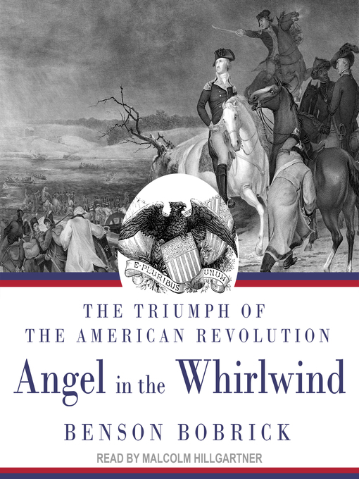 Cover image for Angel in the Whirlwind